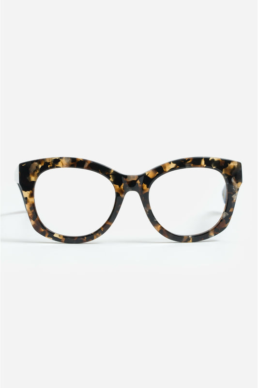 Florence Readers Tortoise - Johnny Was Best Seller