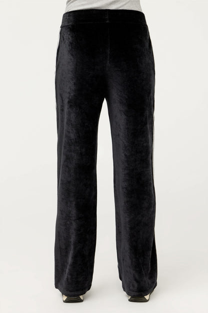 ESSENTIALS VELOUR PANT WITH STRIPE DETAIL - Johnny Was Exclusive