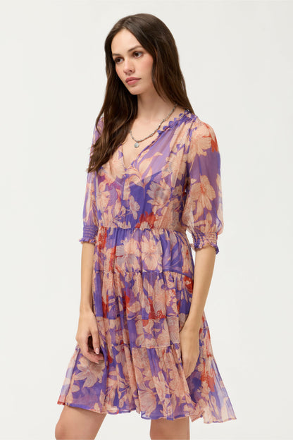 DAPHNE MINI DRESS - Johnny Was Trending
