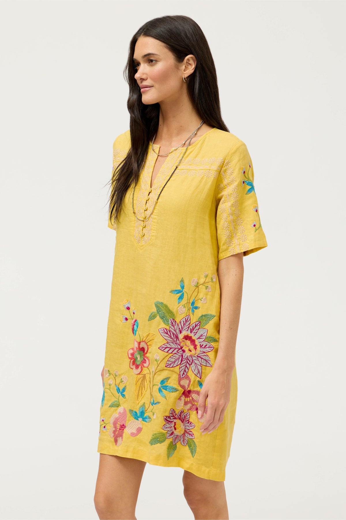 SEAMED BUTTON NECK LINEN DRESS - Johnny Was Signature