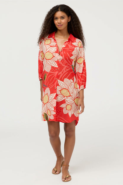 JW X ASHLEY PERCIVAL BUTTON DOWN SHIRT DRESS - Johnny Was Best Seller