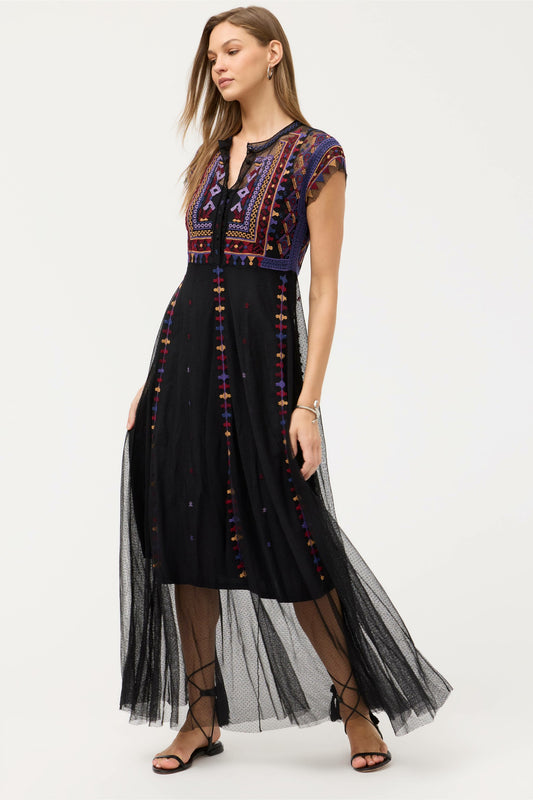 APOLONIA MESH DRESS - Johnny Was Popular