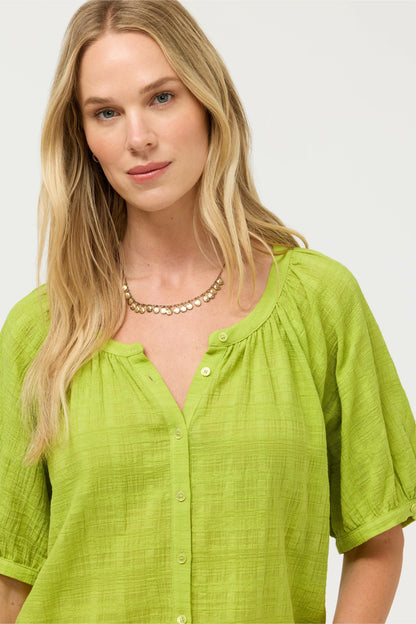 AVAH BUTTON DOWN SHIRT - Johnny Was Signature
