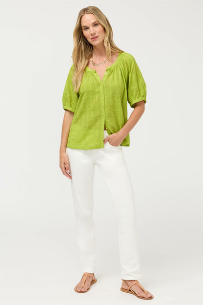AVAH BUTTON DOWN SHIRT - Johnny Was Signature